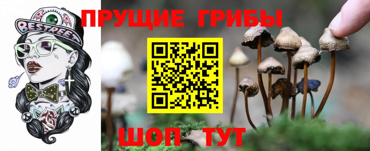Псилоцибиновые грибы GOLDEN TEACHER Нарткала