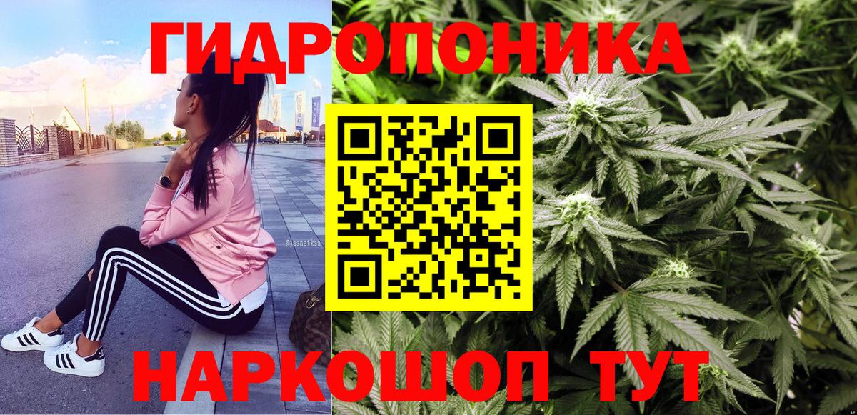 Канабис конопля Нарткала